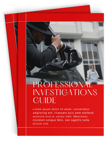 professional investigations guide